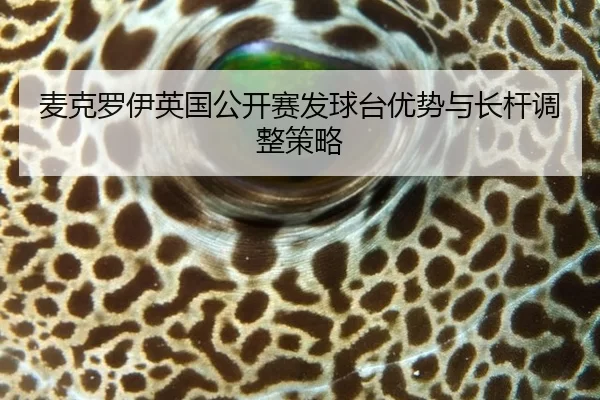 mai-ke-luo-yi-ying-guo-gong-kai-sai-fa-qiu-tai-you-shi-yu-zhang-gan-tiao-zheng-ce-lve-3-624.jpg
